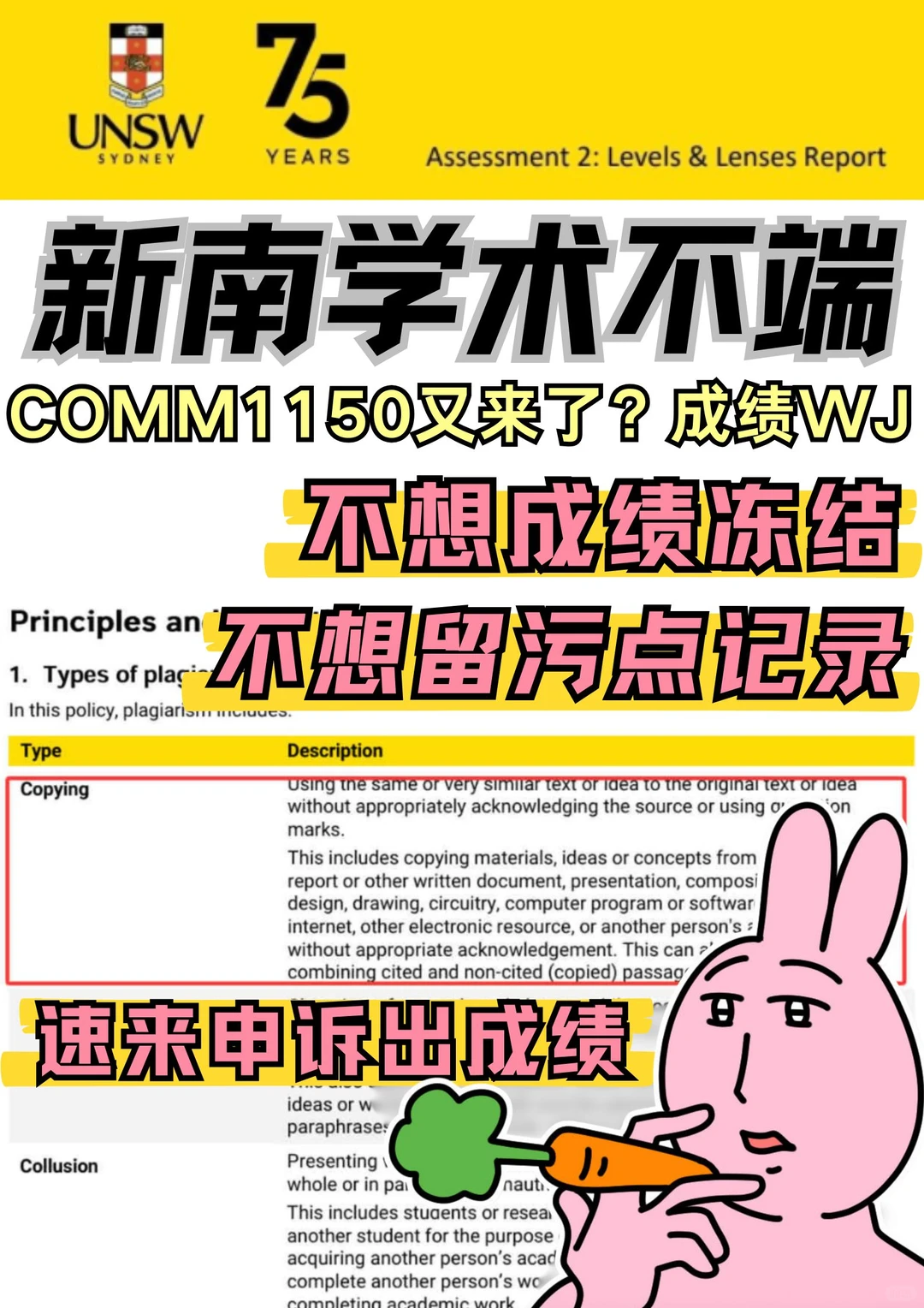 新南COMM1150又出事!速救WJ标记影响毕业签证💥,图片 2