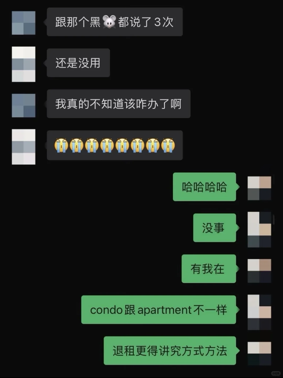 都退学回国了,多伦多dt不argue退租等过年啊,图片 2