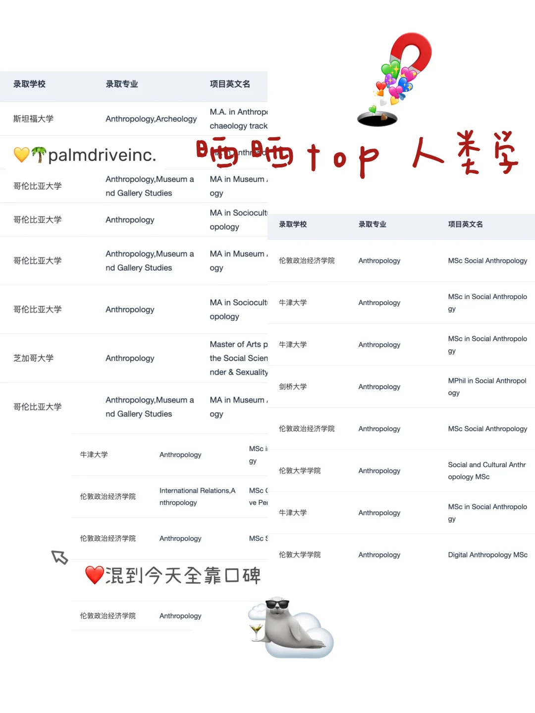 如果申人类学之前看到这篇就好了😭,图片 2
