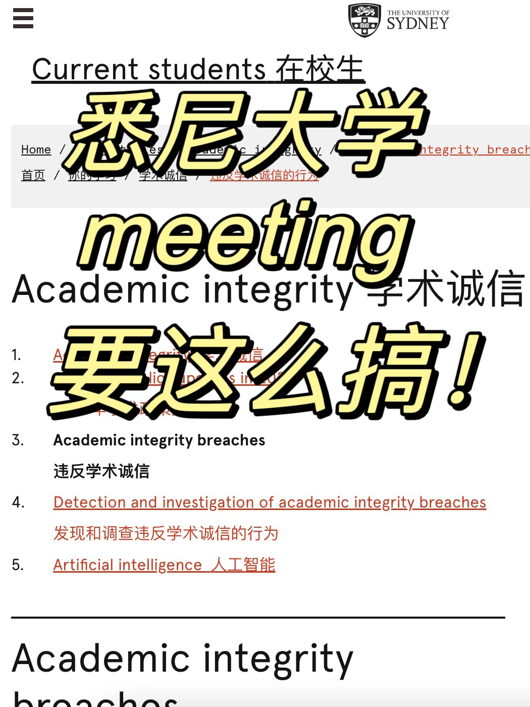 悉尼大学学术bu端,帮你15min拿下meeting!,图片 1