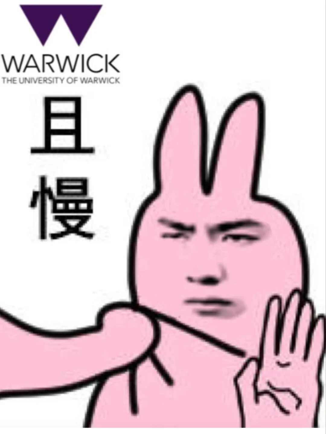 救命!论文49分Offer要黄?急救方案看这里🚨,图片 2