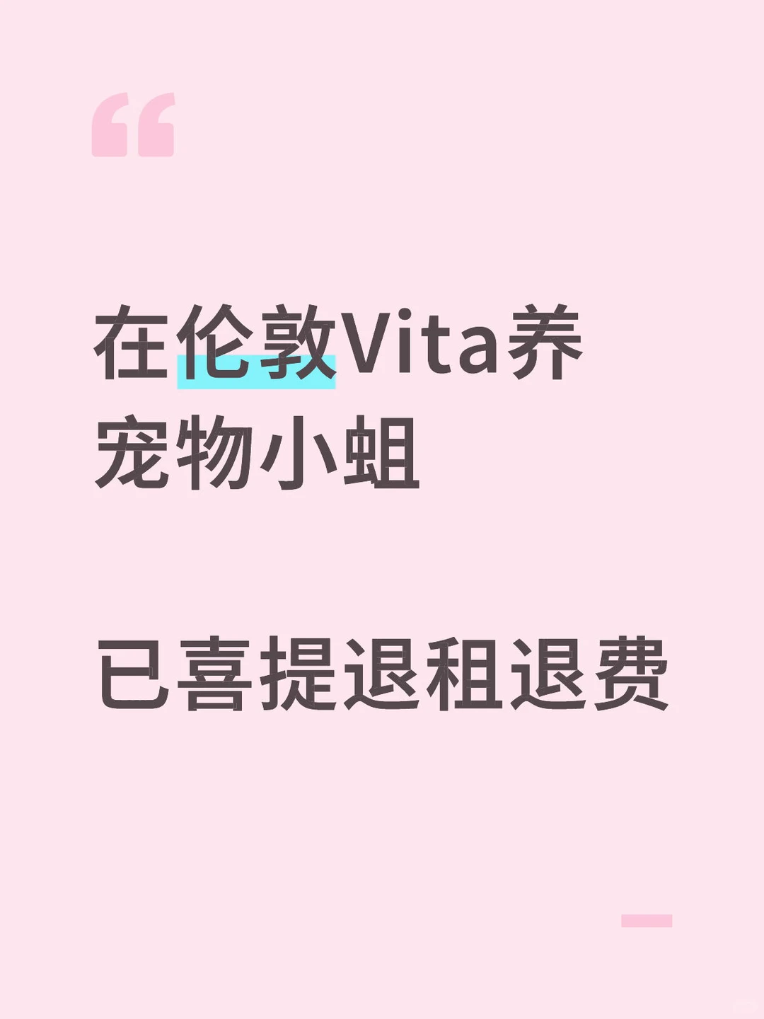 伦敦vita公寓遇蛆虫,退租1.6w胖秒到账!🐛,图片 1