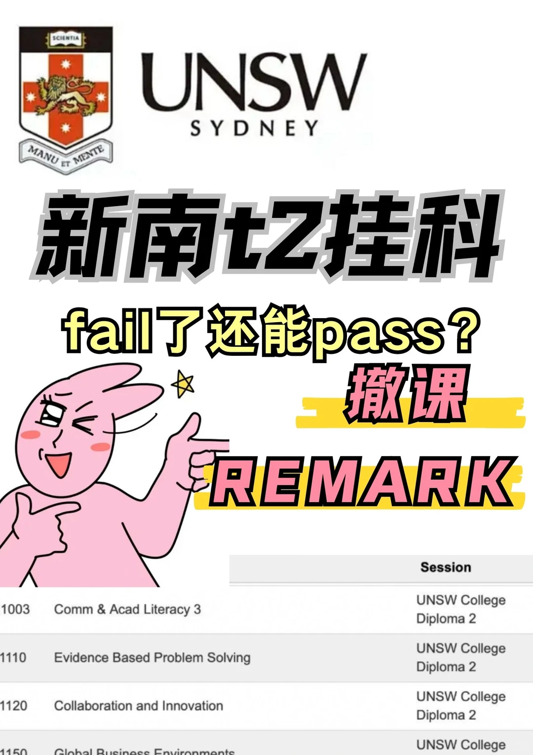 新南t2出分fail?我还能帮你pass,图片 4
