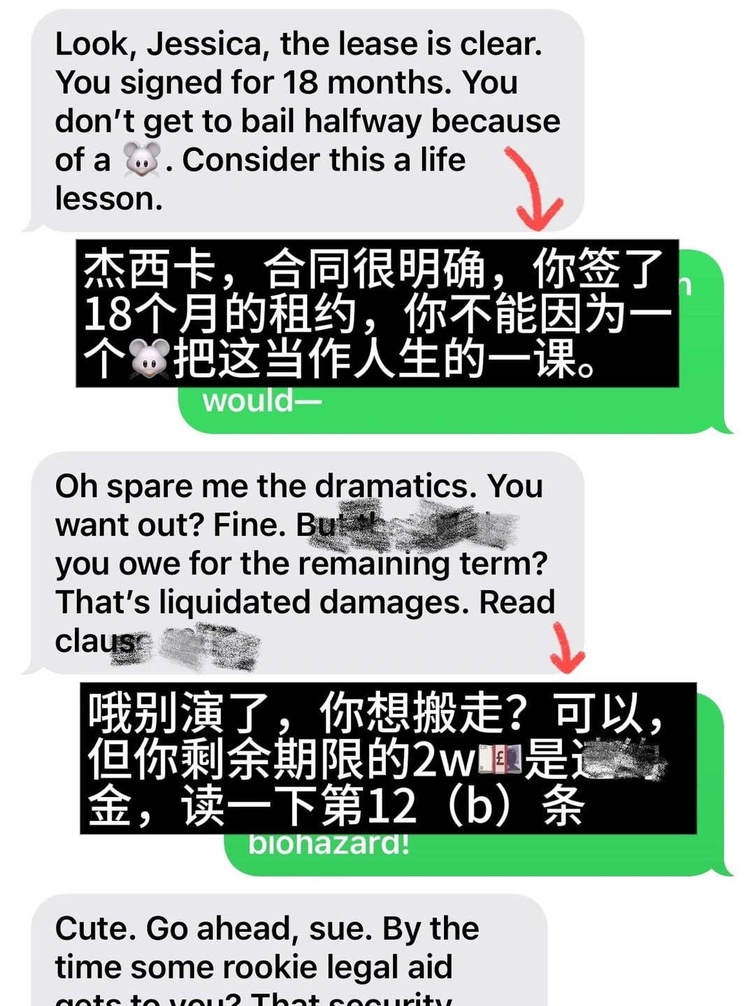 Massachusetts公寓有🐭,退租换房一分没赔😃,图片 1