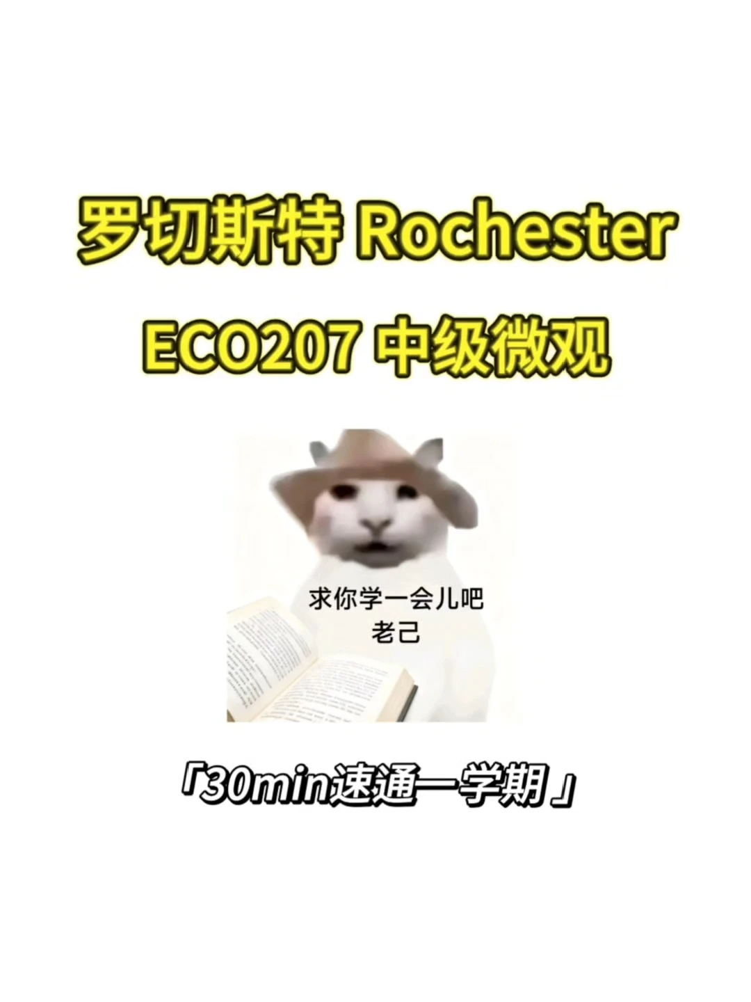 Rochester 线下final如何拿高分❓,图片 1