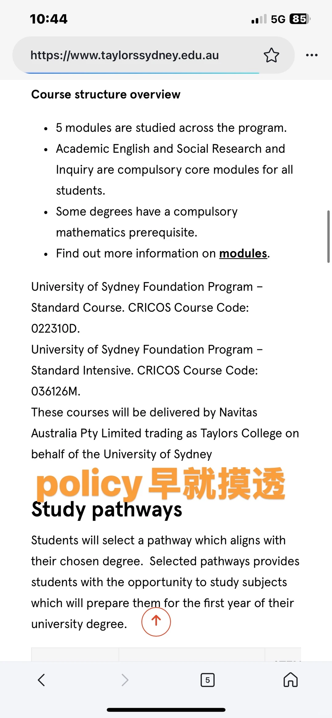 泰勒预科语言C-,我让你正常上悉大,图片 3