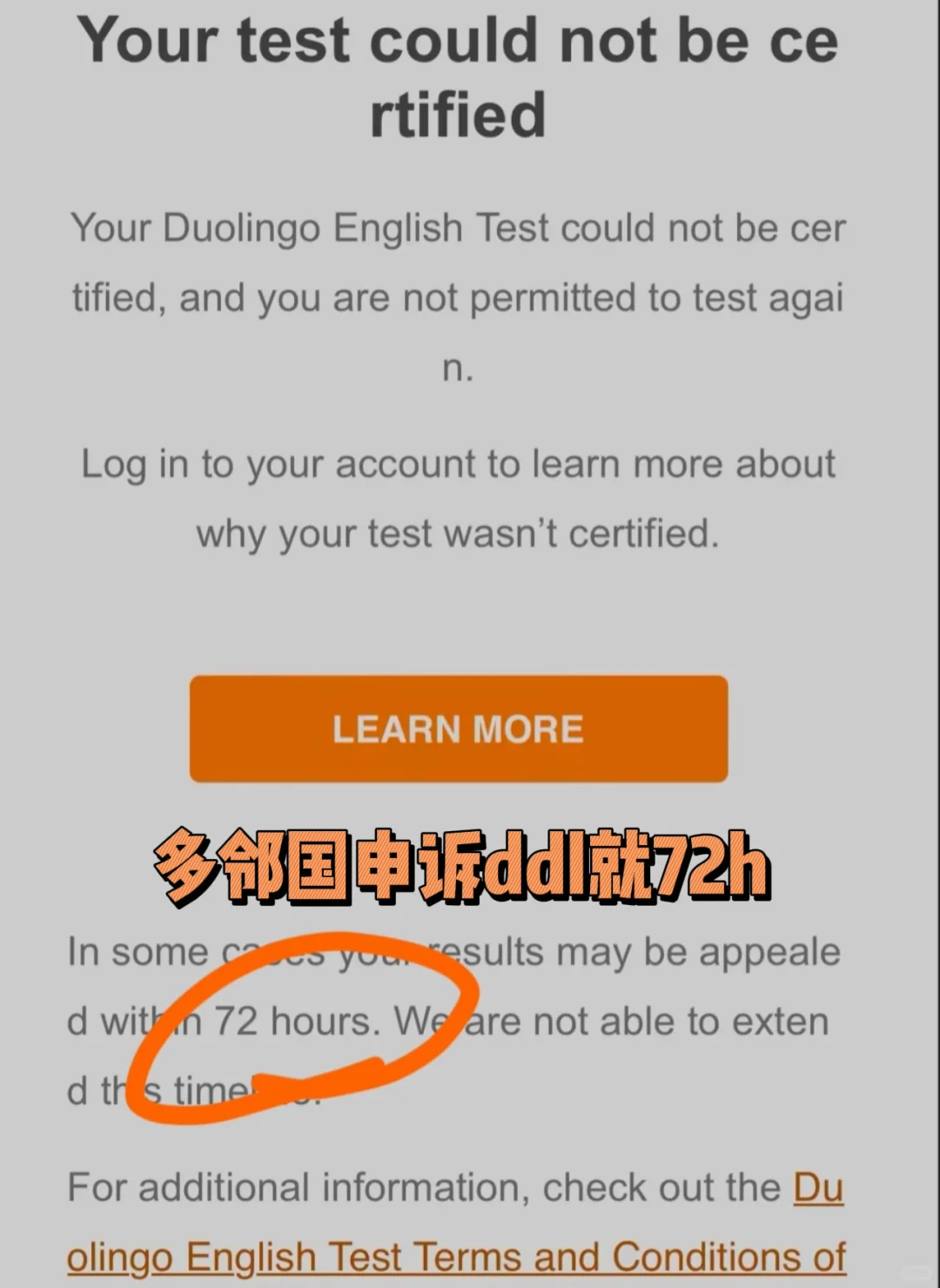 美本11.1ddl,多邻国突然被封号,怎么办,图片 3
