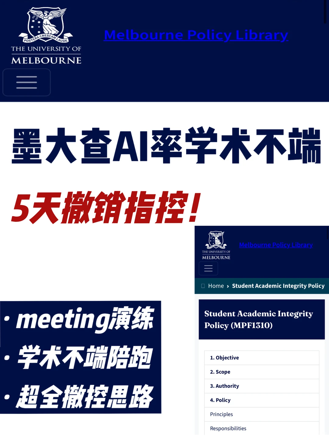 🇦🇺墨大学术不端 Turnitin算法误判也能撤!,图片 2