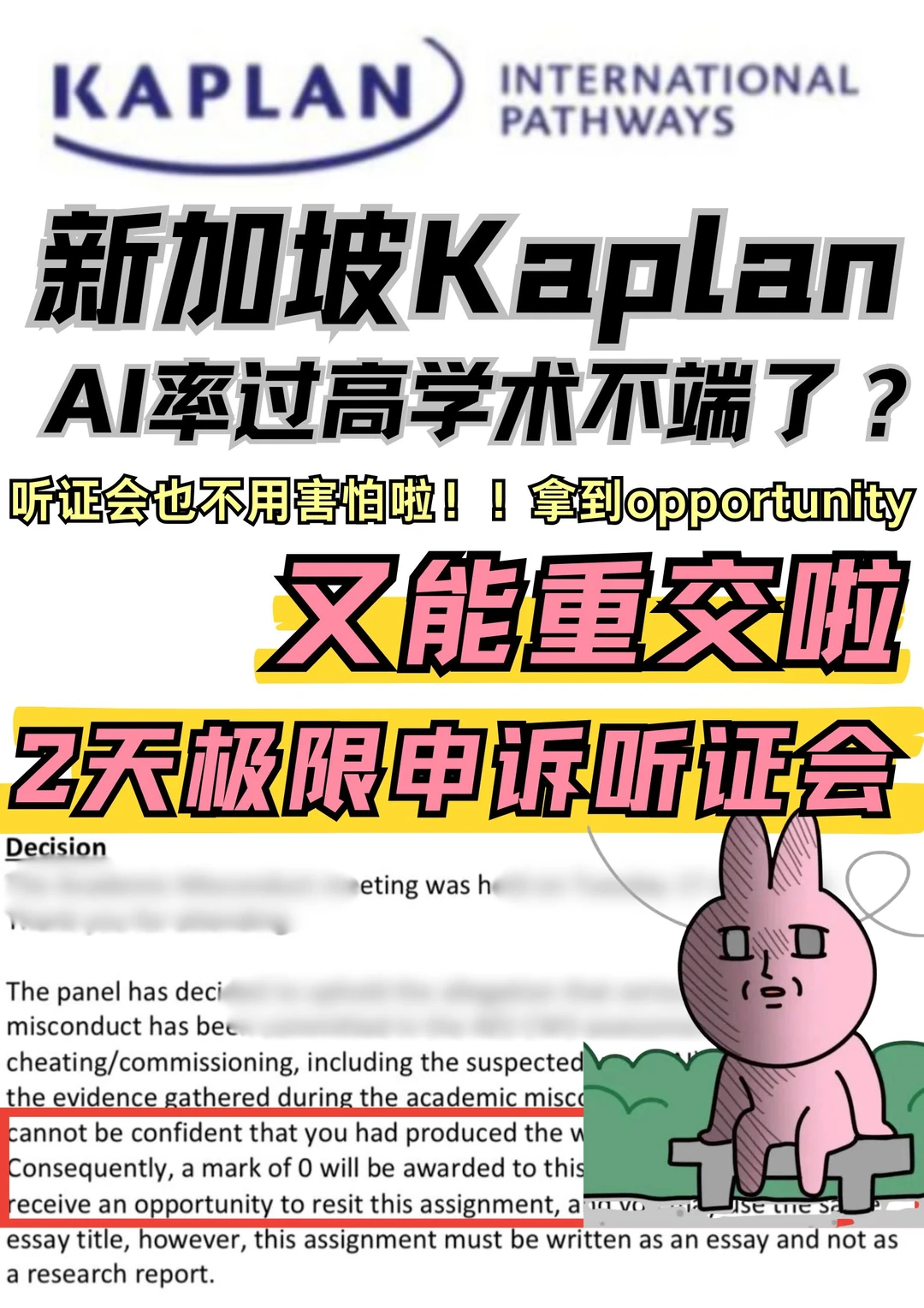新加坡Kaplan真的是AI重灾区!听证会我能救,图片 1