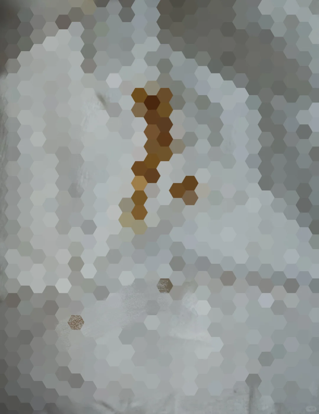 伦敦vita公寓遇蛆虫,退租1.6w胖秒到账!🐛,图片 4