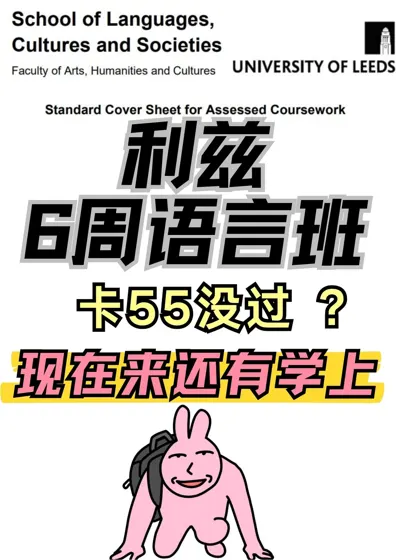 刚出分！🌰6周语言班挂的直接来！我帮你