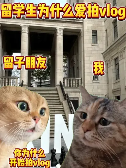 留学生为什么爱拍vlog？