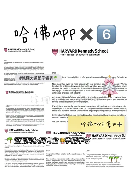 一天拿了6枚哈佛mpp是何意味