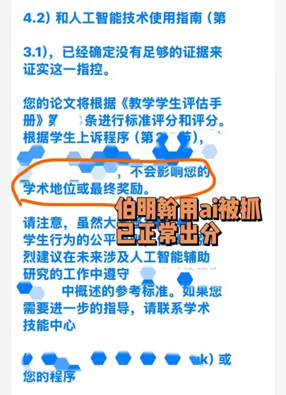 伯明翰小留用ai写毕论,听证会后正常出分