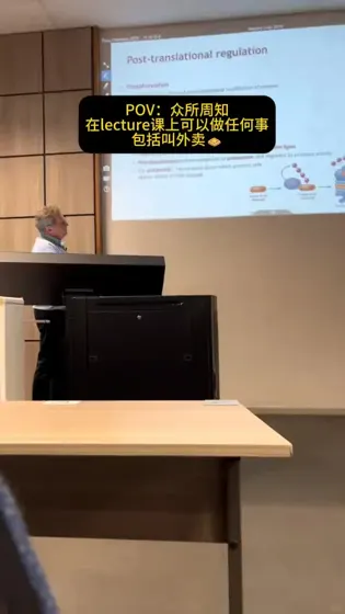 松弛的留子+教授=松弛的lecture课