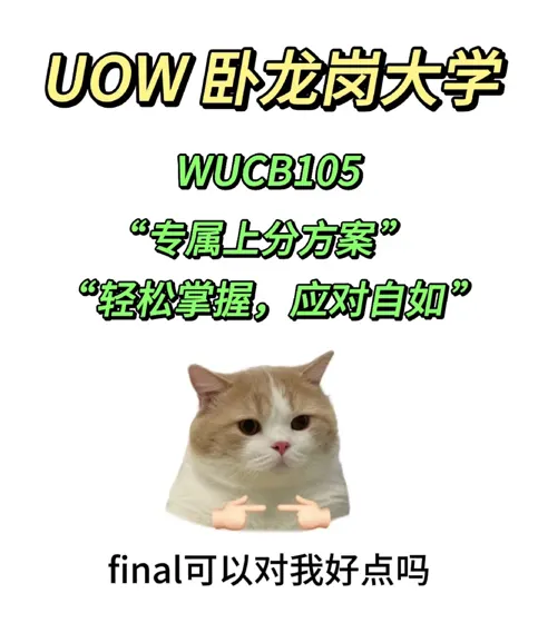 卧龙岗大学WUCB105线下final提高方案