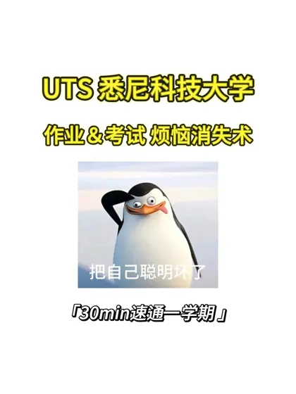 UTS 悉尼科技大学一开学所有作业都吻了上来
