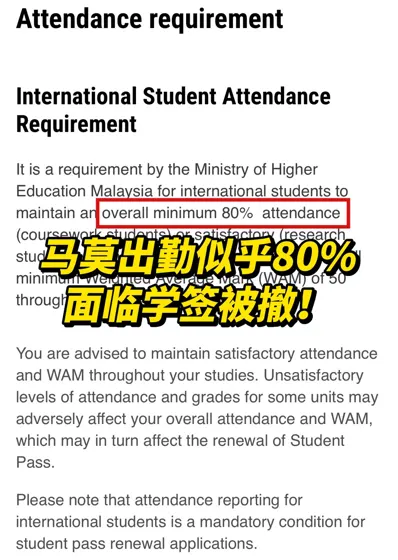 马莫出勤率低真不是开玩笑的！