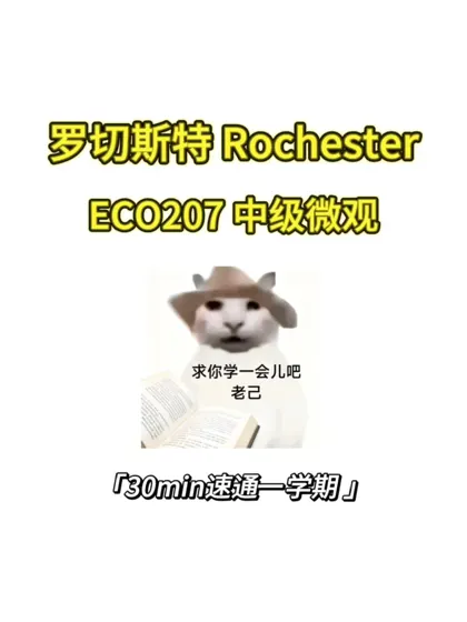 Rochester 线下final如何拿高分❓