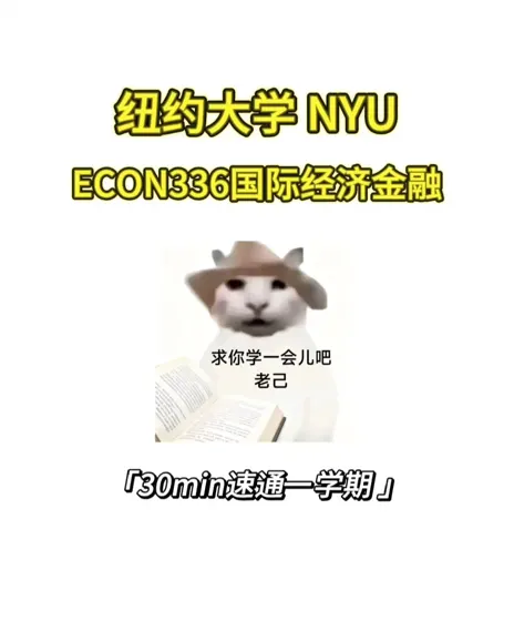 NYU ECON336国际金融线下final如何拿高分❓