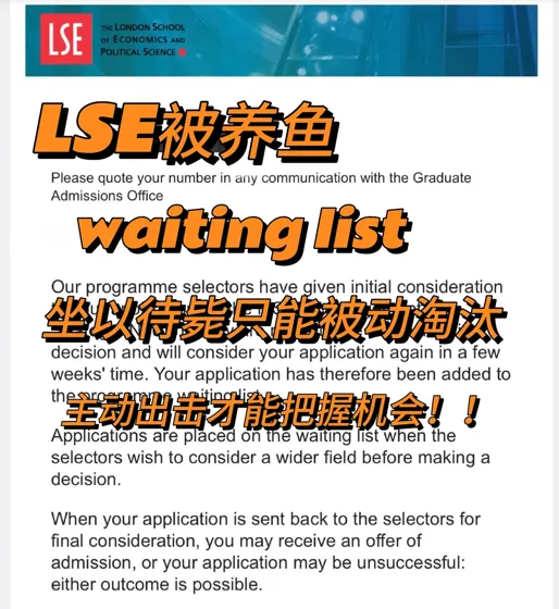 lse被养鱼，argue争取到了转正机会！！