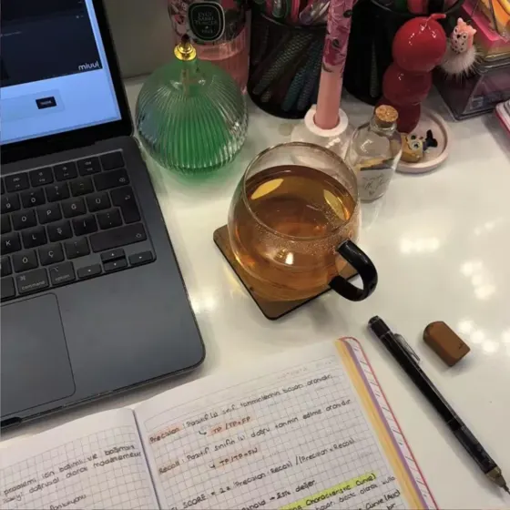 大三准备留学申请 可以用这个timeline