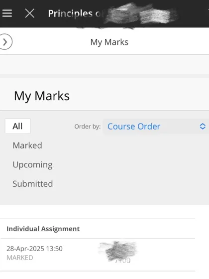 布里斯托化学final出分，28分remark到30分
