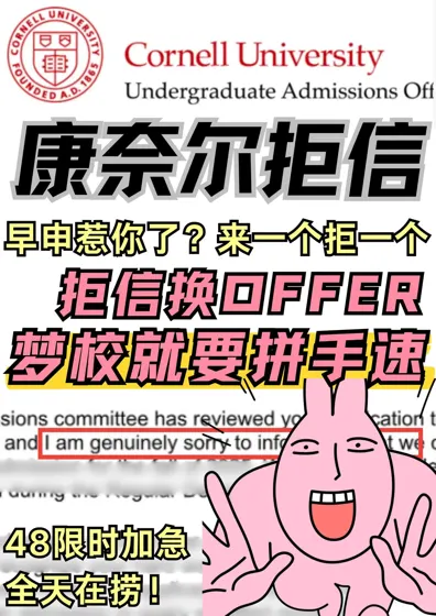 救命！康奈尔拒信竟能翻盘？速抢申诉干货💥