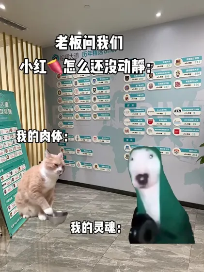一键丝滑把你送进哈耶普斯麻牛剑的留学中介