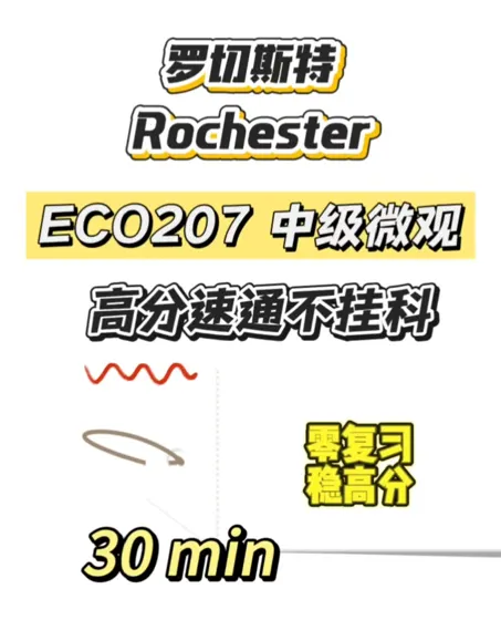 罗彻斯特线下final救星来啦❗爽拿高分❗