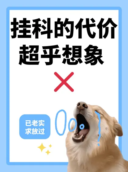 奉劝留学生真的不要挂科❌代价比想象的大…