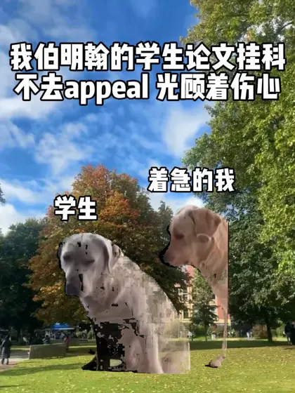 伯明翰论文挂科的宝先别悲伤了！！快去appeal