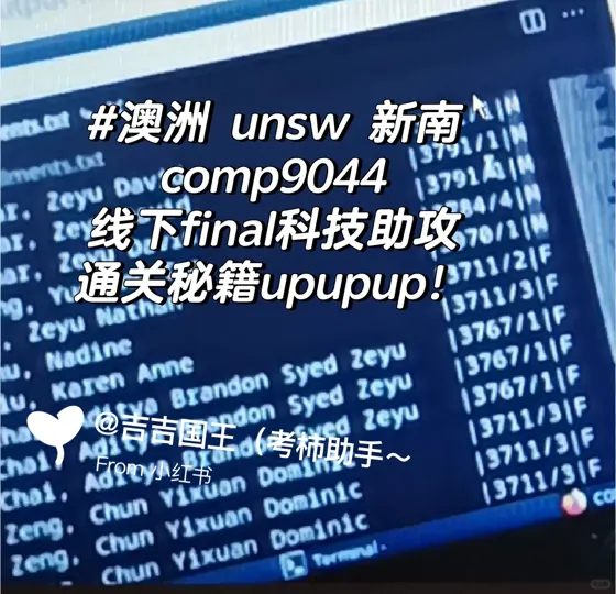 #澳洲 unsw 新南comp9044线下final科技助