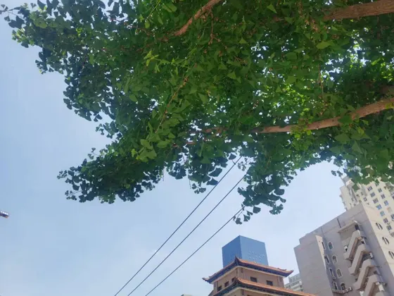 英国挂科太多是不是会被退学啊