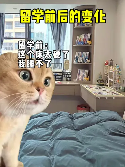 留学前后变化太大了‼️建议留学….