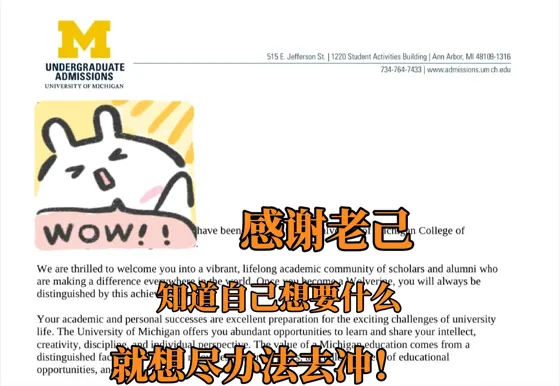 umich转正，早argue的鸟儿有offer～